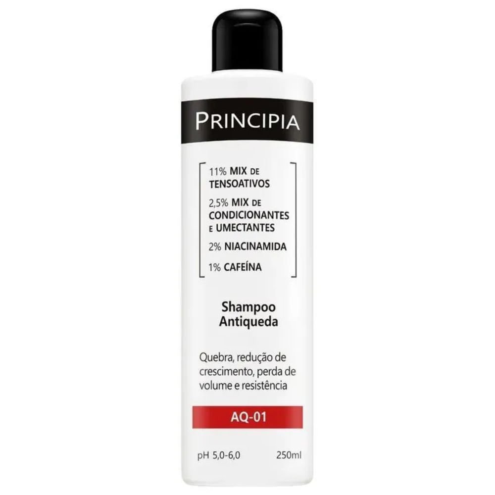 Shampoo Antiqueda Principia 250ml